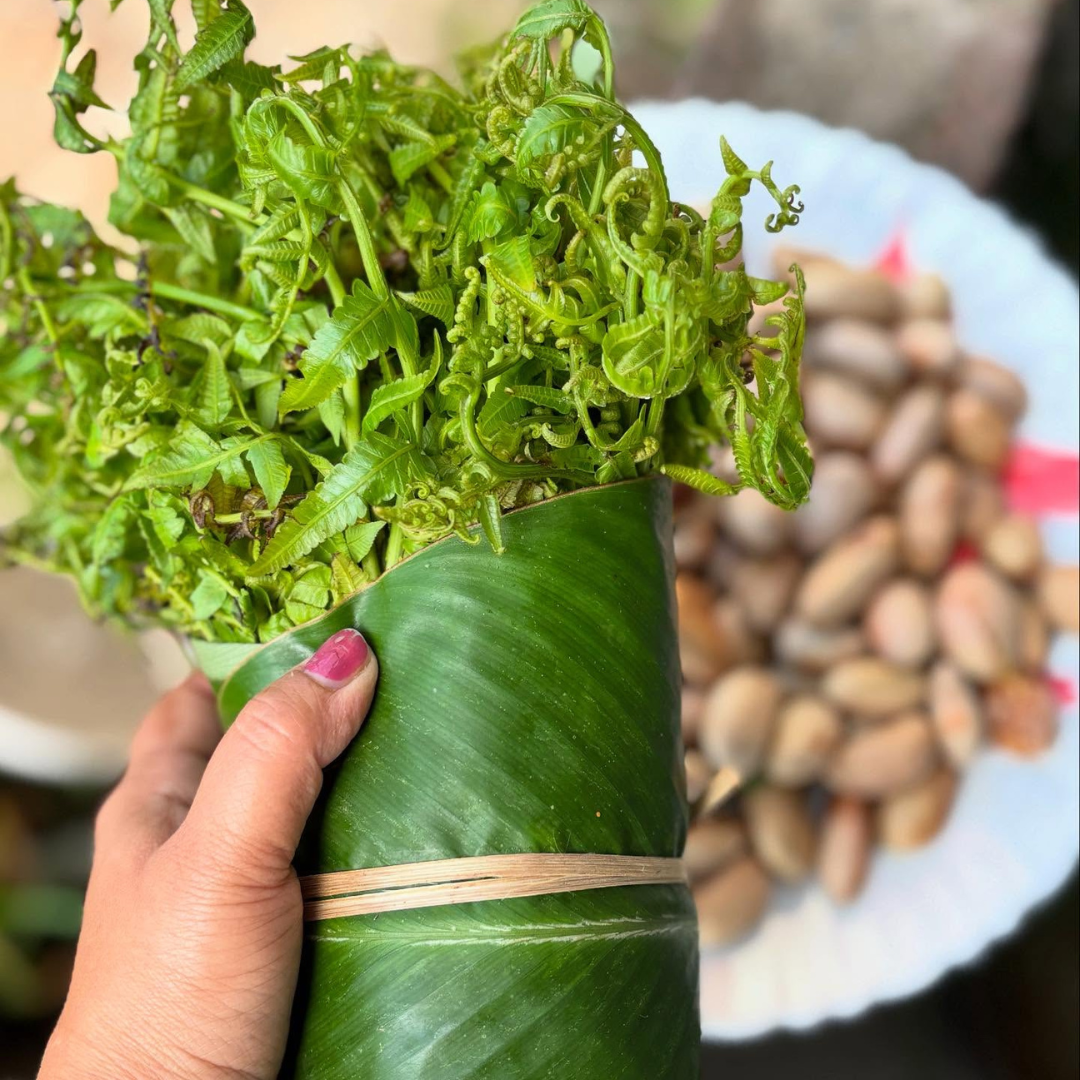 Dhekiya zak (ঢেকীয়া শাক)